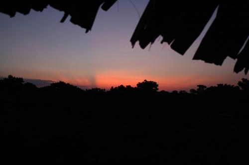 a sunset seen through a window with trees in the foreground at Yala Beddegama Eco in Kataragama