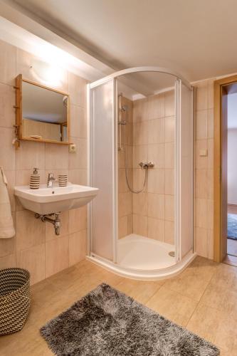 a bathroom with a shower and a sink at Africa House in Zlín