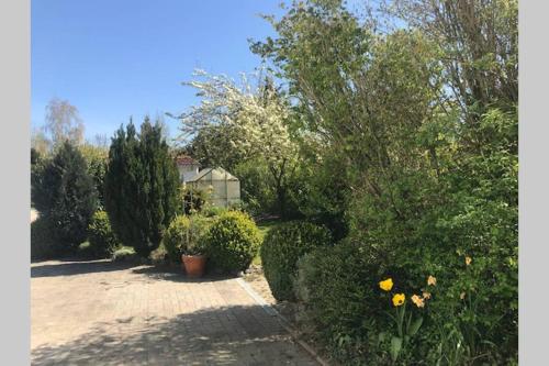 a garden with bushes and trees and a house at Gartenvilla@Baltic-Chalets in Warnkenhagen