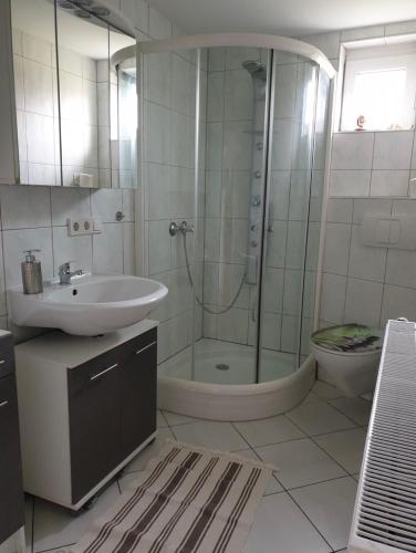 a bathroom with a shower and a sink and a toilet at Ferienwohnung Karl Kuntze in Kleinwerther