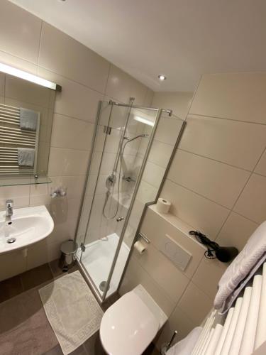 a bathroom with a shower and a toilet and a sink at Haus Sonnegg in Finkenberg