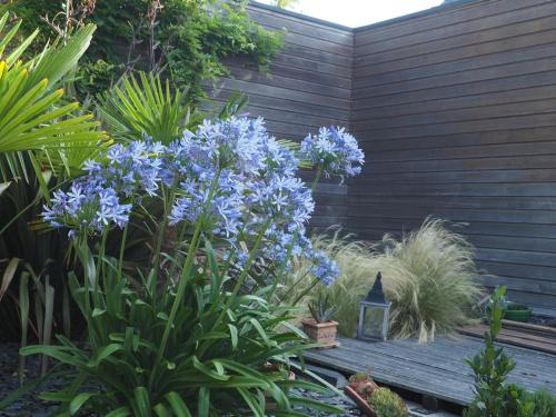 a garden with blue flowers and a wooden deck at L'Oustaou du Bodo in Ambon