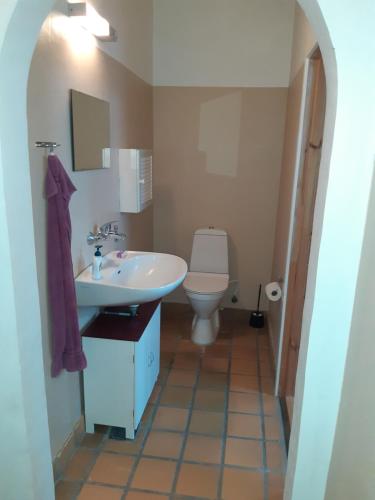 ein Bad mit einem Waschbecken und einem WC in der Unterkunft Gamby fattiggård in Gamby