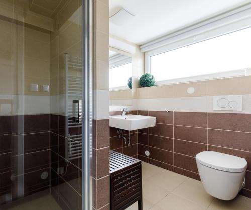a bathroom with a toilet and a sink at Boží Apartments by Mountain ways in Boží Dar