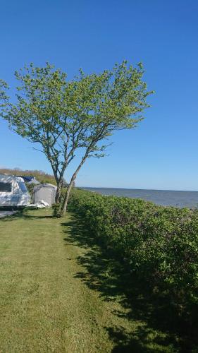 Gallery image of Morsø Camping & Hytter in Nykøbing Mors