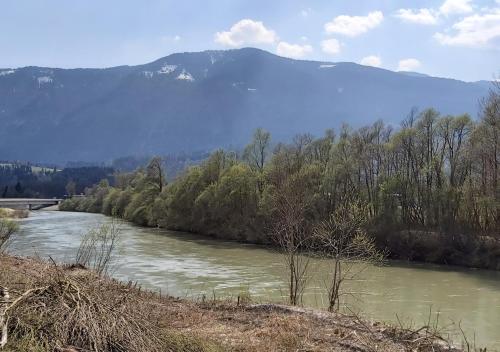 a river with trees and a mountain in the background at Pension Leano in Nötsch