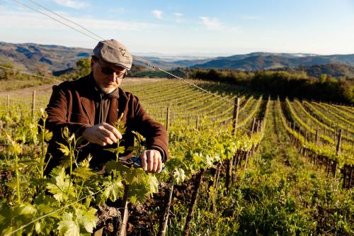 Tetamu yang menginap di Vitabella Toscana