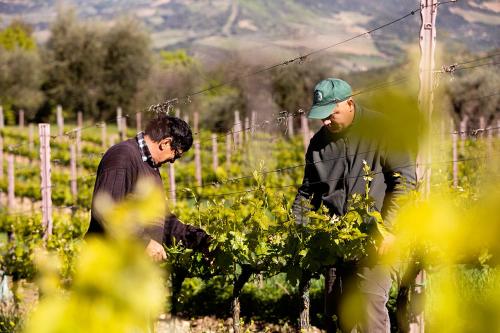 Tetamu yang menginap di Vitabella Toscana