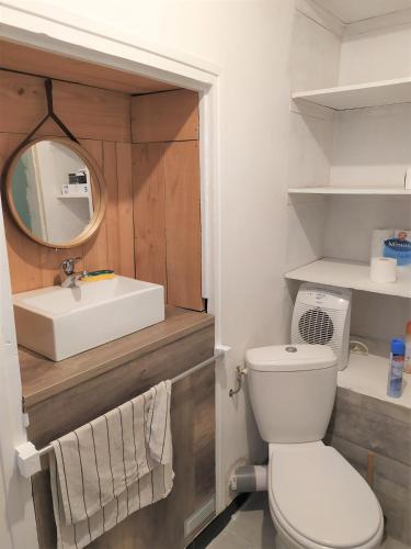 une salle de bain avec toilettes, lavabo et miroir dans l'établissement Vogüé meublé 2 étoiles, La plus belle vue de Vogüé, à Vogüé