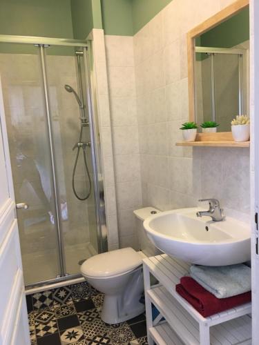 La salle de bains est pourvue de toilettes, d'un lavabo et d'une douche. dans l'établissement Les petits boudoirs beau site, à Aix-les-Bains