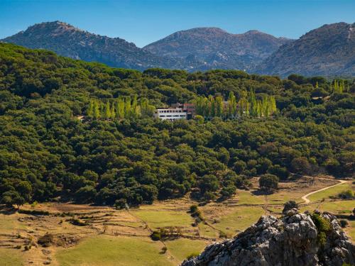 an aerial view of a house in a forest at Hotel Fuerte Grazalema in Grazalema