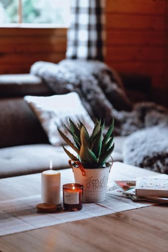 a candle and a potted plant on a table at Domki u Basi in Kudowa-Zdrój