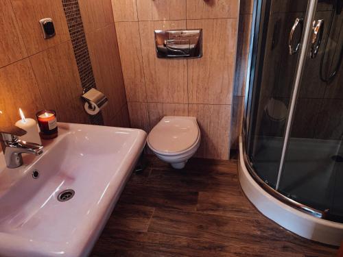 a bathroom with a toilet and a sink and a shower at Domki u Basi in Kudowa-Zdrój