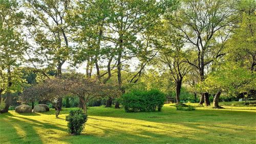 a park with trees and a field with grass at Sunny Days - Park Apartment in Sandanski