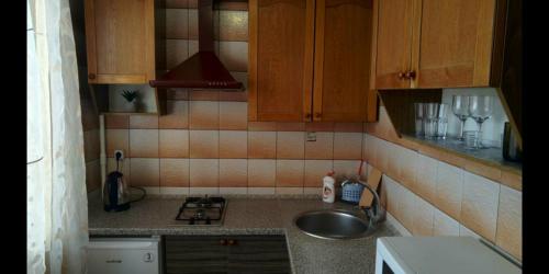 a small kitchen with a sink and a stove at Уютная квартира рядом с метpo Холодная гора in Kharkiv