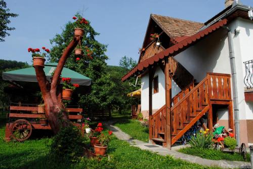 una casa con un albero accanto a un edificio con fiori di Pensiunea Casa Butnarului a Geoagiu de Sus