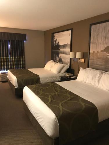 a hotel room with two beds and a window at Super 8 by Wyndham Prince Albert in Prince Albert