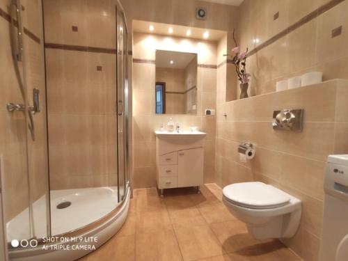 uma casa de banho com um WC, um chuveiro e um lavatório. em LuxApartament 3 - z dużym tarasem i garażem w Zeta Park em Ustroń