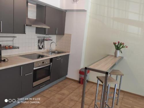 a kitchen with black cabinets and a table and a sink at LuxApartament 3 - z dużym tarasem i garażem w Zeta Park in Ustroń