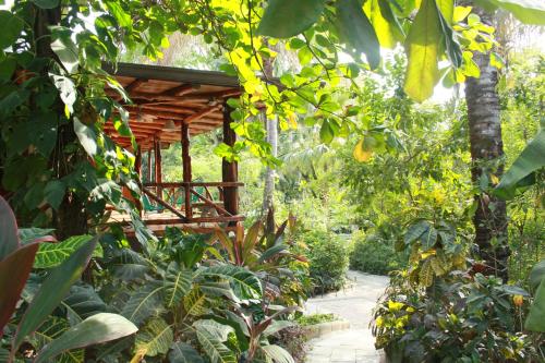 een tuin met een houten loopbrug te midden van planten bij Hotel Guiones in Nosara