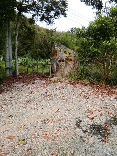 a large rock sitting on the side of a road at 台東民宿 關山桃花心木民宿農場 in Guanshan