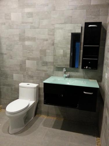 a bathroom with a toilet and a sink and a mirror at ONE LUXE JAMAICA VILLA with private pool, modern interior and secluded in Ocho Rios