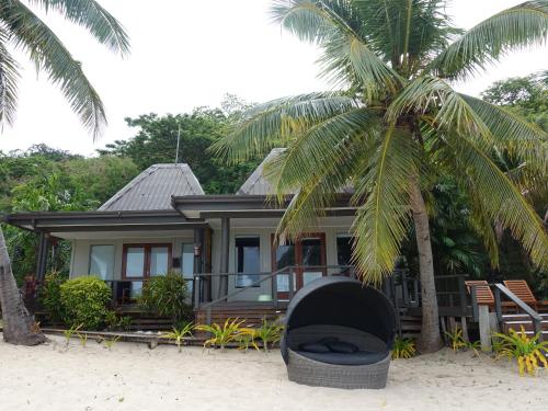 a house on the beach with a palm tree at Octopus Resort in Nalauwaki