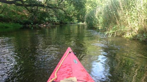 a red kayak in the middle of a river at Pustki Rekowskie - Zielone Serce Kaszub in Rekowo