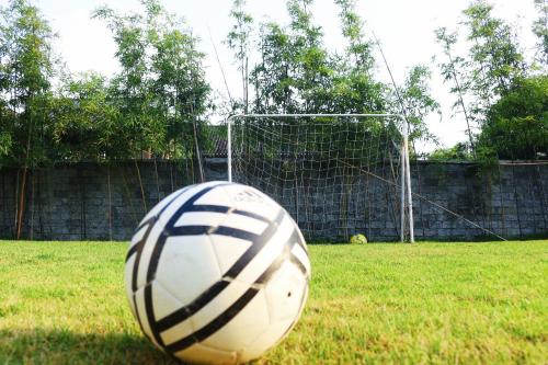a soccer ball sitting on the grass in front of a goal at Banyan Tree Yangshuo in Yangshuo