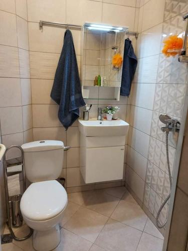 a bathroom with a toilet and a sink and a shower at Sweet Home in Burgas