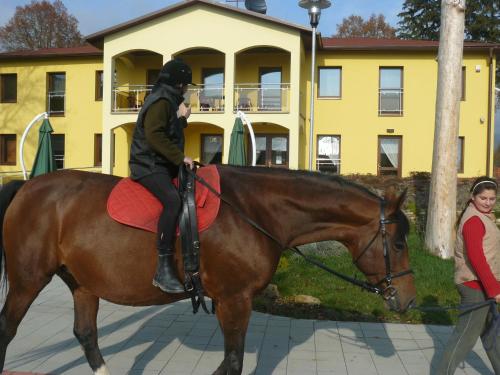 a person riding on the back of a brown horse at Wellness Villa Liptov in Liptovská Sielnica