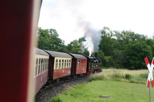 a steam train is traveling down the tracks at Hotel Zur Luppbode in Treseburg