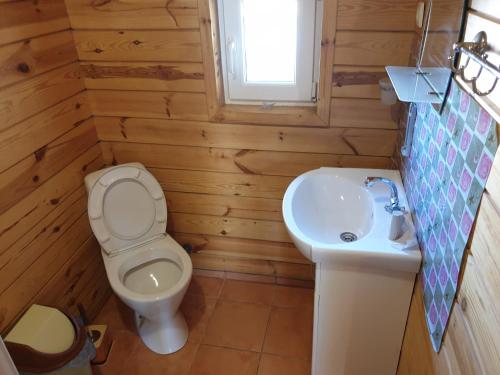 a bathroom with a toilet and a sink at Хутірська 48 in Sanzhiyka
