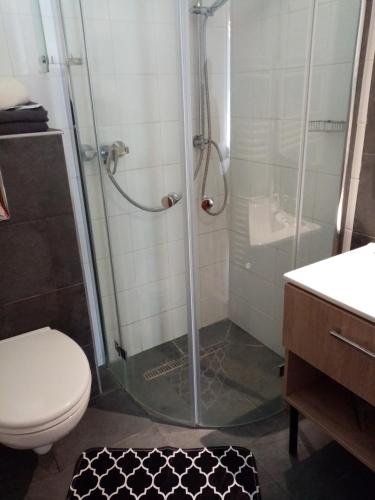 a bathroom with a shower with a toilet and a sink at Kőszeghegyalja Vendégház in Horvátzsidány