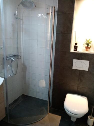 a bathroom with a shower and a toilet at Kőszeghegyalja Vendégház in Horvátzsidány