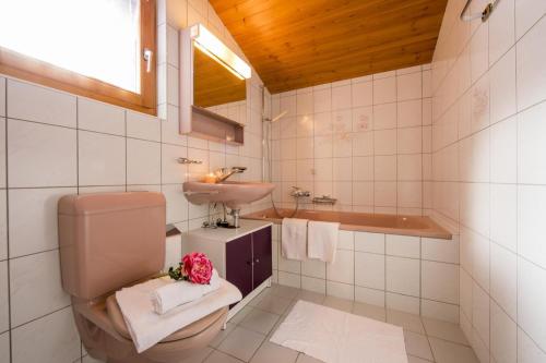 a bathroom with a toilet and a sink and a tub at Chalet La Caleche in La Tzoumaz