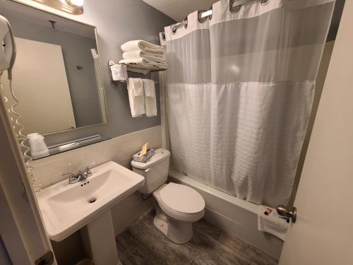 a bathroom with a sink and a toilet and a mirror at Hampton Village Inn in Hampton