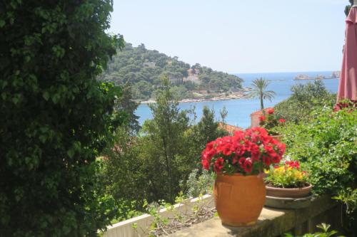 una maceta de flores en un balcón con vistas al océano en Villa Miomir, en Dubrovnik