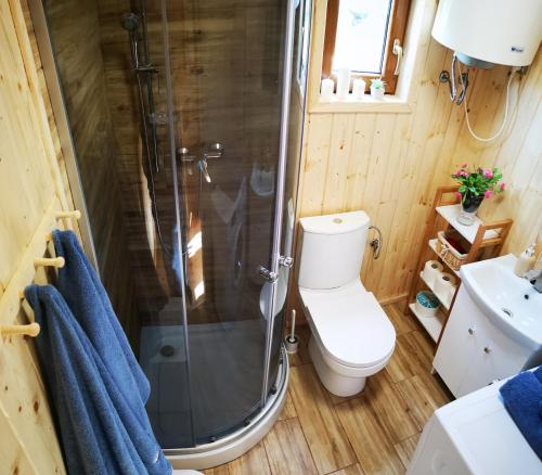 a bathroom with a shower and a toilet and a sink at Domki Zielony Winiec - Mazury in Winiec