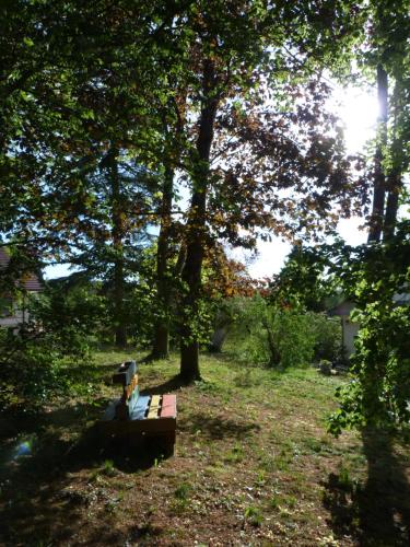 a park bench sitting in the grass under a tree at Gîte d'Maïsala Les Mésanges in Heidwiller