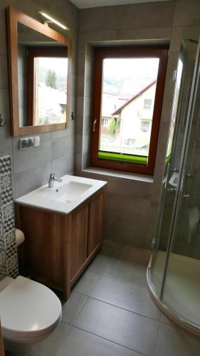 uma casa de banho com um lavatório, um chuveiro e um WC. em Apartament Hanka em Krościenko