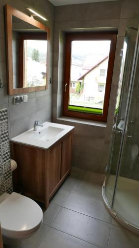 a bathroom with a sink and a shower and a toilet at Apartament Hanka in Krościenko