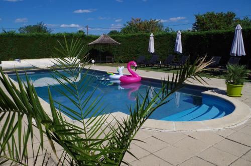 a swimming pool with two swans in it at Chambres d'Hôtes La Vigneronne in Senouillac