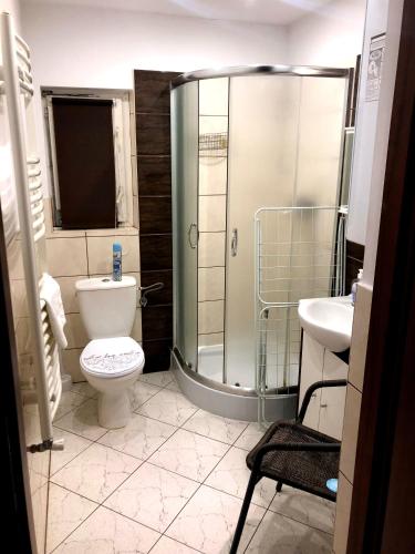 a bathroom with a shower and a toilet and a sink at Sarzynówka in Krasnobród