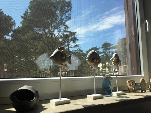 Φωτογραφία από το άλμπουμ του Apartament Visby σε Jurata