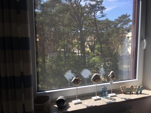 Φωτογραφία από το άλμπουμ του Apartament Visby σε Jurata