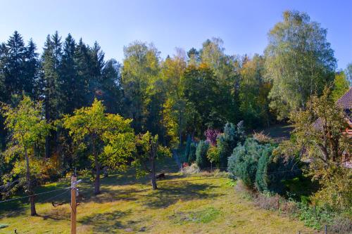 a view of a garden with trees in the background at Pension Haus Fürstenberg in Grünhain-Beierfeld