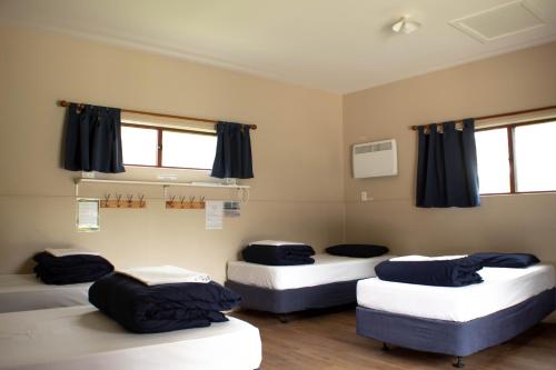 three beds in a room with blue curtains at The Barn Cabins & Camp in Marahau