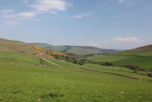 a green field with animals grazing in the grass at Time in Galashiels