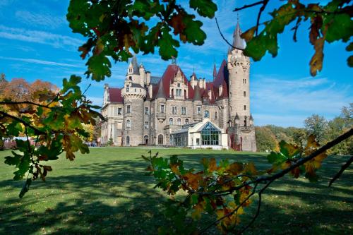 een kasteel met een toren op een groen veld bij Moszna Zamek in Moszna